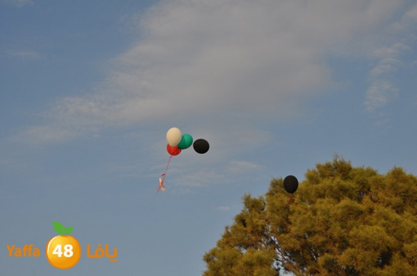 kidsrabeta515 (60).JPG